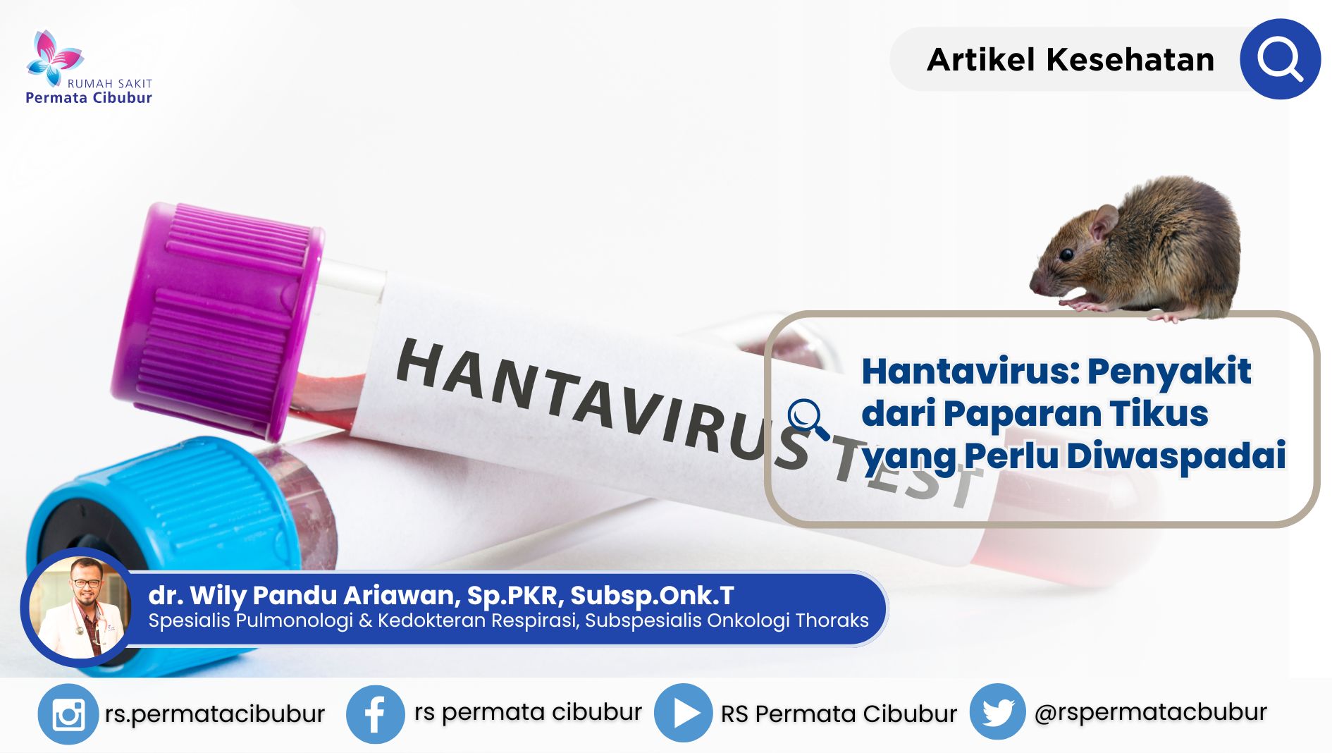Hantavirus: Penyakit dari Paparan Tikus yang Perlu Diwaspadai