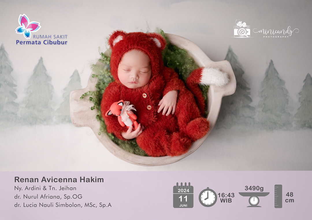 Renan Avicenna Hakim