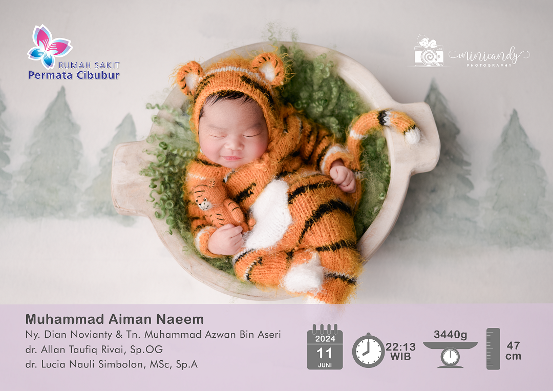 Muhammad Aiman Naeem